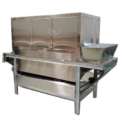 China Snack Factory Factory Direct Automatic Commercial Chain Sale 1000kg/h Garlic Peeling Machine for sale