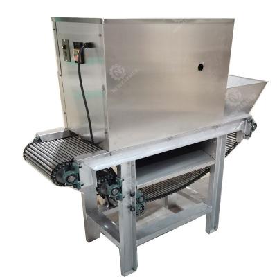 China Snack Factory Excellent Quality 1200W Automatic Chain Garlic Peeling Machine for sale