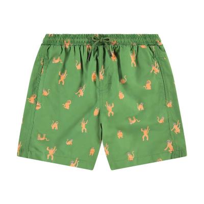 China Anti-Wrinkle Boys Mesh Custom Swim Beach Athletic Mens Baby Pants Polyester Summer Shorts for sale