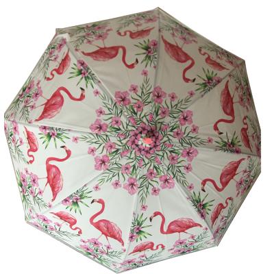 China CLASSIC Apollo Kids Automatic Umbrella for sale