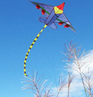 China Wholesale Cheap Outdoor Display Flying Toys Child Protective Top Parts Outdoor Activities Flying Airplane Kite For Kid Children for sale