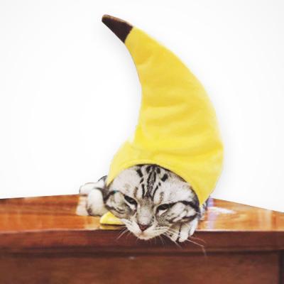 China Hot Selling Creative Funny Headgear Viable Cat Windproof Hats New Pet Hat Pet Cats Banana Hat for sale