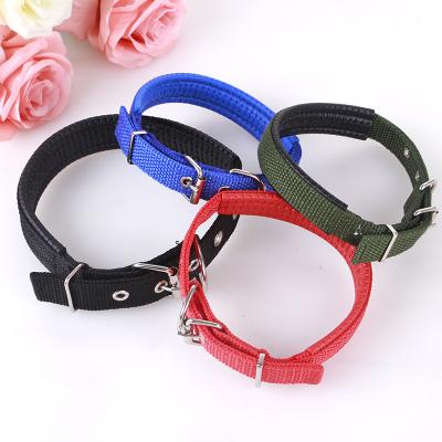 China Hot Selling Nylon Dog Collar Leisure Small And Medium Dog Collar Viable Factory Dog Collar for sale