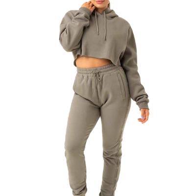 China Breathable Wholesale High Quality Long Sleeve Customized Plus Size Hoodies For Women for sale