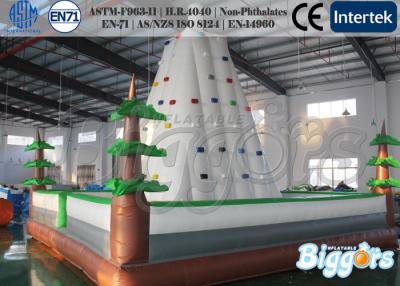 Cina Il PVC bianco scherza la torre gonfiabile di arrampicata dei giochi di sport con il materasso in vendita