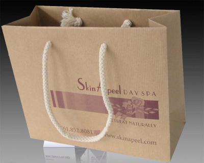 China High quality Branded Retail Paper bag for sale