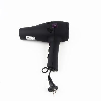 China Vendor Supply 2000W Ionic Compact Hair Dryer Customized Vertical Household Hair Dryer for sale