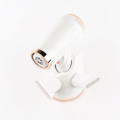 China Factory Wholesale Low Power 800W Rechargeable Hair Dryer Fan with 2 Concentrators and 1 Diffuser for sale