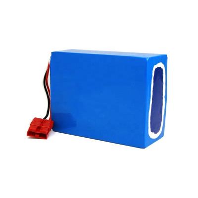 China Electric bicycles/scooters 24v 60ah lifepo4 battery pack for electric scooter motorcycle ebike wheelchair AGV 24v 60ah for sale