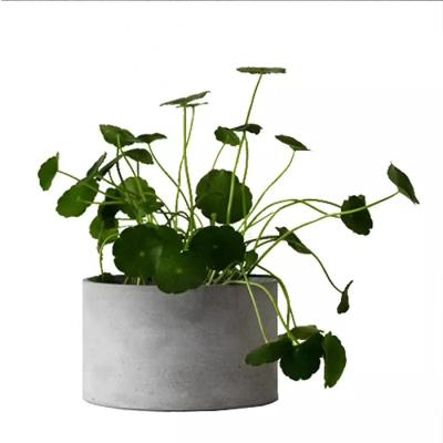 China Gray Color Cylinder Cement Minimalist Flower Pot for Green Plants for sale