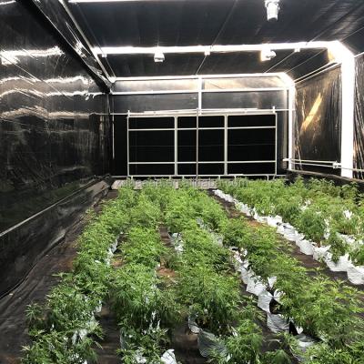 China Stable Structure Easily Collected American Canada Popular Grow 100% Automatic Medicinal Plant Blackout Light Deprivation PC Greenhouse for sale