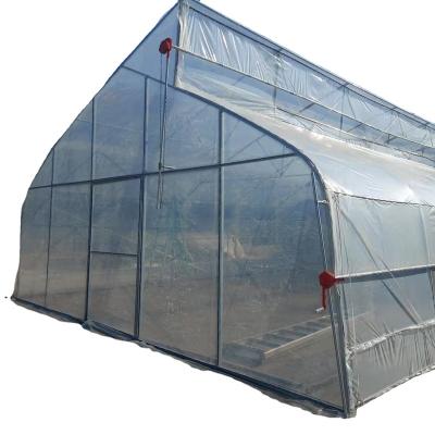 China Stable Structure Easily Assembled Single Frame Galvanized/Hot Dipped Galvanized PE Film Greenhouse For Agriculture Low Cost Greenhouse For Flower Plant for sale