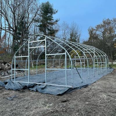 China Easily Assembled And Economical Galvanized Steel Frame Single Span PE Film Greenhouse For Agriculture Low Cost Tunnel Greenhouse For Flower Plant for sale