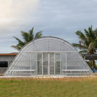 China Professional Intelligent Agriculture PE Film Greenhouse Manufacturers Single Span PE Film Greenhouses for sale