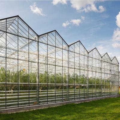 China Vegetable Multi-span large commercial venlo polycarbonate glass greenhouse with hydroponic seeding for tomato strawberry for sale