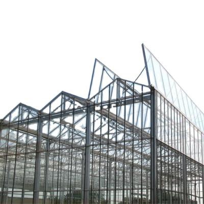 China Commercial Glass Greenhouse Design And Control Of Used Vegetables For Sale for sale