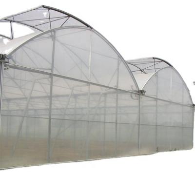 China 100% New Style Opaque Vegetable Agricultural UV Treated Plastic Sheet Greenhouse For Sale for sale