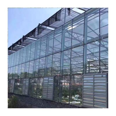 China Fruit Vegetable Flowers Turnkey Project Agricultural Glass Greenhouse For Tomato Growing 2 Buyers for sale