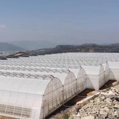 China Stable structure easily assembled professional manufacturers Chinese agricultural film greenhouse invernadero multi-span tomato greenhouse intelligent structure for sale