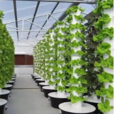 China Commercial PVC Greenhouse Hydroponics DFT Hydroponic Growing System For Sale for sale