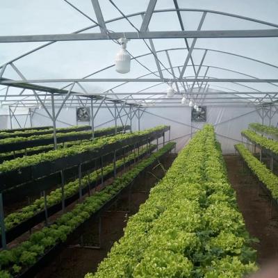 China High Strength Staples Merchandise Products Fruit Vegetables Arch Greenhouse Customized Used Agriculture for sale