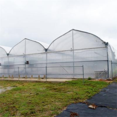 China Stable Structure Easily Assembled 200 Micron Film Hydroponic Film Cost Commercial UV Israel Poly Tunnel Tomato Wrought Greenhouse Greenhouse Sheets for sale