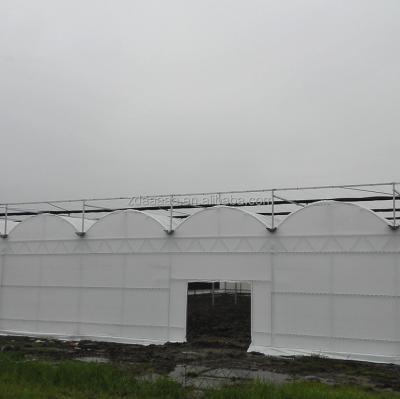 China Portable PE Curtain Blackout Blind Greenhouse for sale