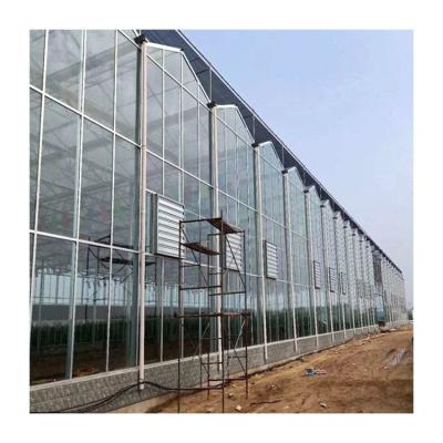 China Multi-span Glass Greenhouse Solar View Glass Greenhouses Agricultural / Other Greenhouses for sale