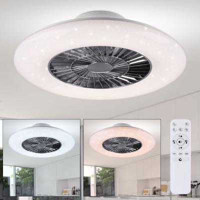 China Wholesale Price Modern Decorative Remote Control Led Ceiling Fan Light for sale