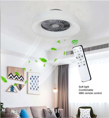 China Customization 3000K-6500K Modern Wholesale Ceiling Fans With Lights , Included Silent Fan Light for sale