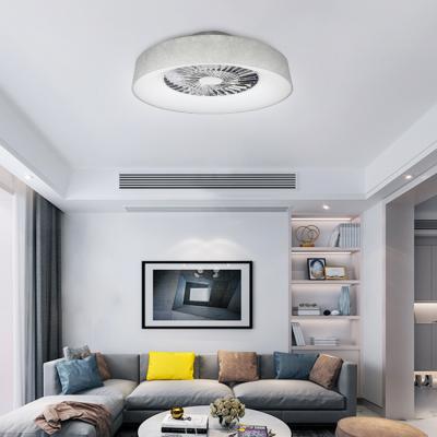 China Modern 3 Colors Changing 220 V Stepless Dimmable Ceiling Fans With Led Lights Timber Designer, High Ceiling Fan Led Lamp for sale