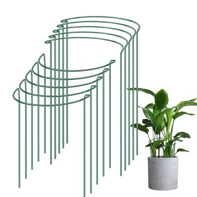 China Half Round Support Ring Garden Border Plant Supports Metal Plant Stake Eco-Friendly Tomato Rose Hydrangea Support for sale