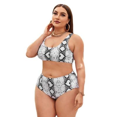 China 2022 new Yolo plus size slit plus size snakeskin print high waist sexy bikini swimwear for sale