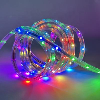 China Flexible LANDSCAPE 110V/120V Dream-color RGBIC LED Light Strip with Individually Addressable 120V LED RGB LED Strip Light for sale