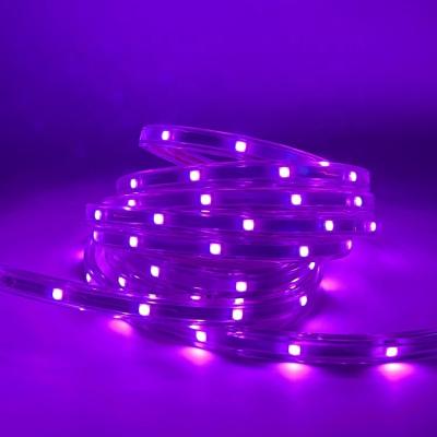 China Dreamy LANDSCAPE 110V/120V Full Color Programmable LED Strip With Popular Color Chasing Digital LED Strip Light for sale