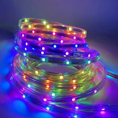 China LANDSCAPE Hunting LED Light Strips Smart Controller 120V Individual Accessible Dream Color Light Strip for sale