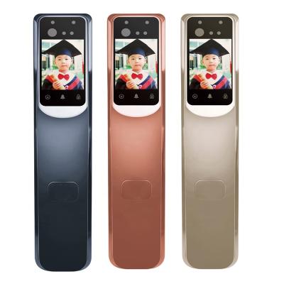 China Magnetic Lock 300 Face Recognition Access Control Smart Door Lock Face Recognition System Home Electric Door Lock for sale