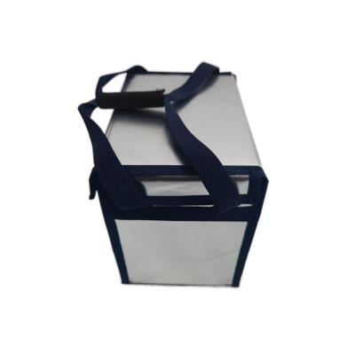 China FL013 Insulated Lunch Bag Cooler Picnic Delivery Heat Insulation Aluminized Film Cool Dispenser Box for sale