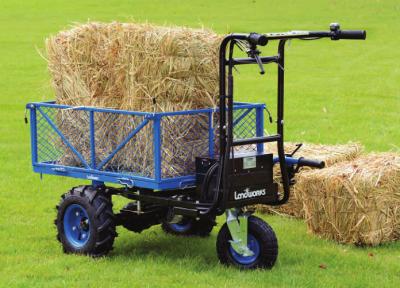 Chine Brouette de roue électrique légère/brouette à piles de jardin à vendre