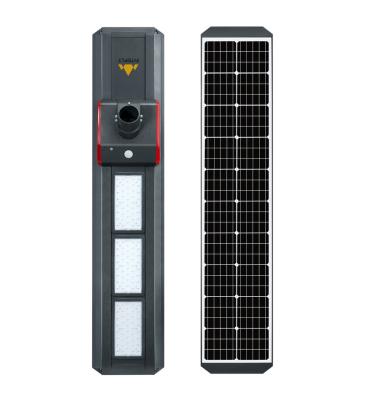 China ROAD 100w Outdoor Solar Led Street Light IP66 Protection for sale