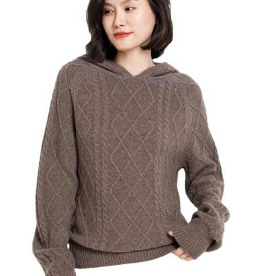 China Anti-pilling anti-pilling new autumn and winter sweater cashmere pure hooded sweater simple woolen sweater for sale