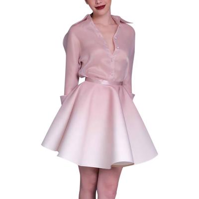 China 2021 Anti-Static Spring Women's Long Casual Dress 2 Piece Women's Fashion Set Top Sleeve Mesh Puff Skirt for sale