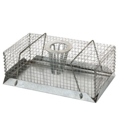 China Viable Single Door Dog Raccoon Rabbit Easy Set Bait Cage Trap With Spring Loaded Latch for sale