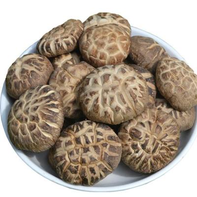 China Dry Dry Shiitake Mushroom Dried Food Shiitake Mushroom High Quality Wholesale Price for sale