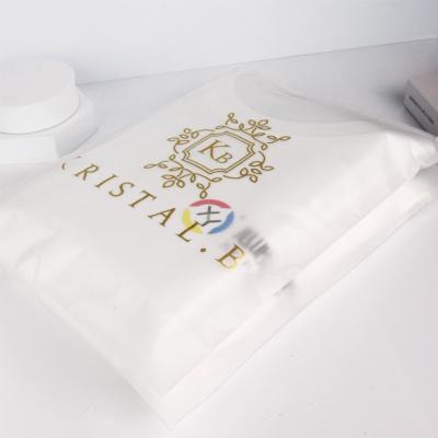 China Recyclable Custom Printed Zip Lock Bags Clear Frosted Plastic Bag With Brand Logo For Lingerie for sale