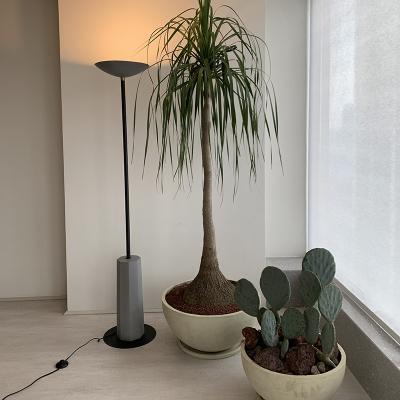 China Dimmable Modern Indoor Creative Custom Minimalist Living Room Decoration Floor Lamp LED Lamp Furniture Home Floor Lamp for sale