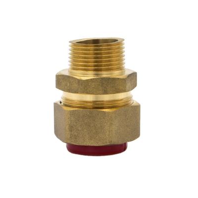 China Joint Lines High Quality Brass Threaded Connection Adapter Fittings Hose Nipple Threaded Pipe Gas Fittings for sale