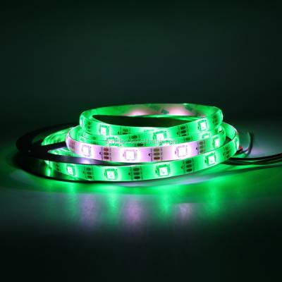 China decorative lighting WS2812B waterproof IP65 led strip lights outdoor 5050 smd 60 rgb led strip for sale