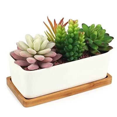 China Decorative Garden White Ceramic Succulent Planter Ceramic Cactus Flower Pot Plant Pot with Bamboo Tray (Rectangular) for sale