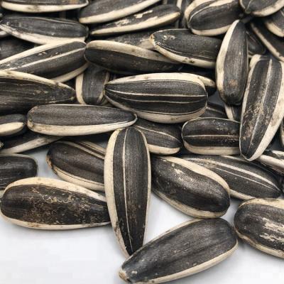 China Hot Sale Dry China 363 Sunflower Seeds for sale